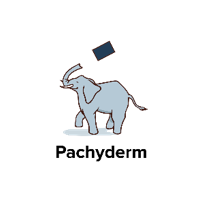 Pachyderm Logo