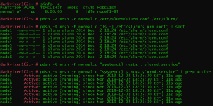 Syntax for using PDSH SLURM plugin