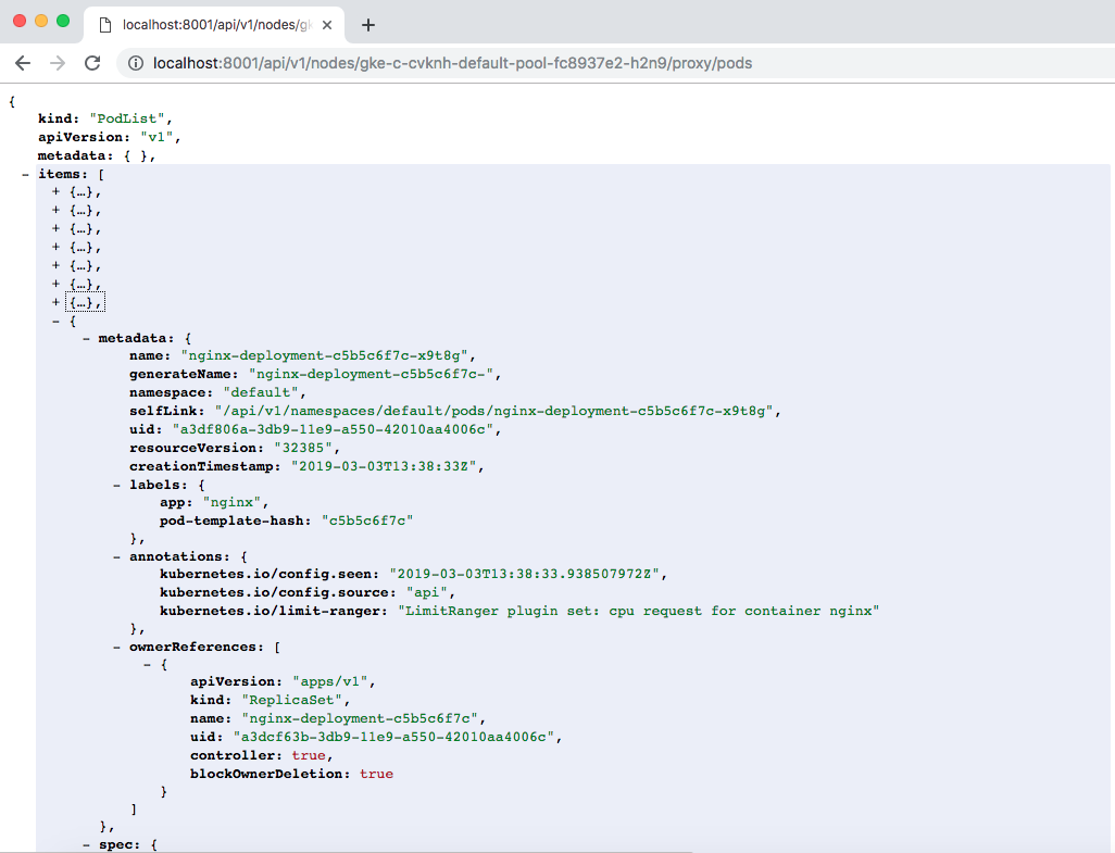 Fig. 4: Kubernetes node's list of pods