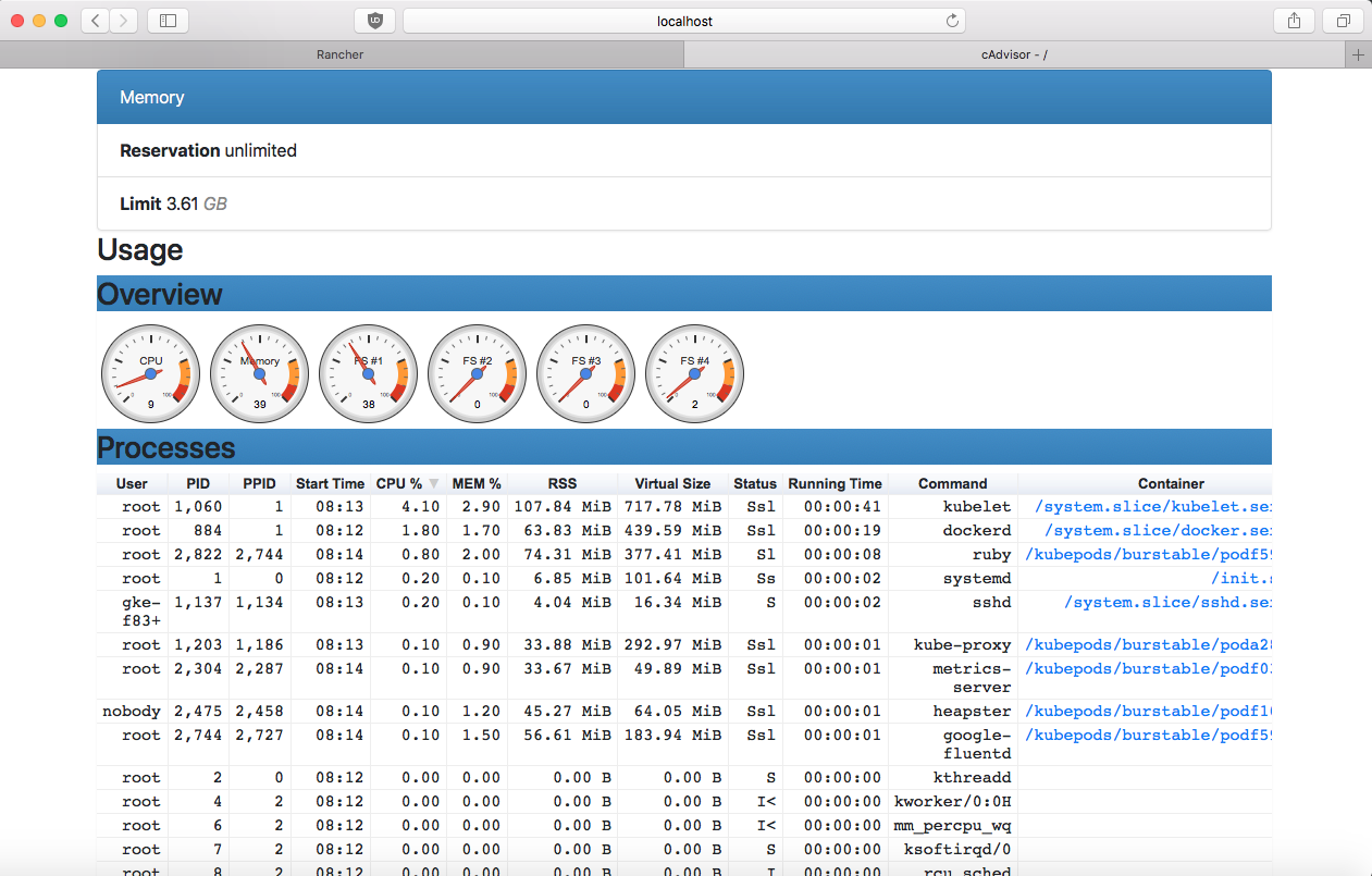 Fig. 8: cAdvisor UI Overview and Processes