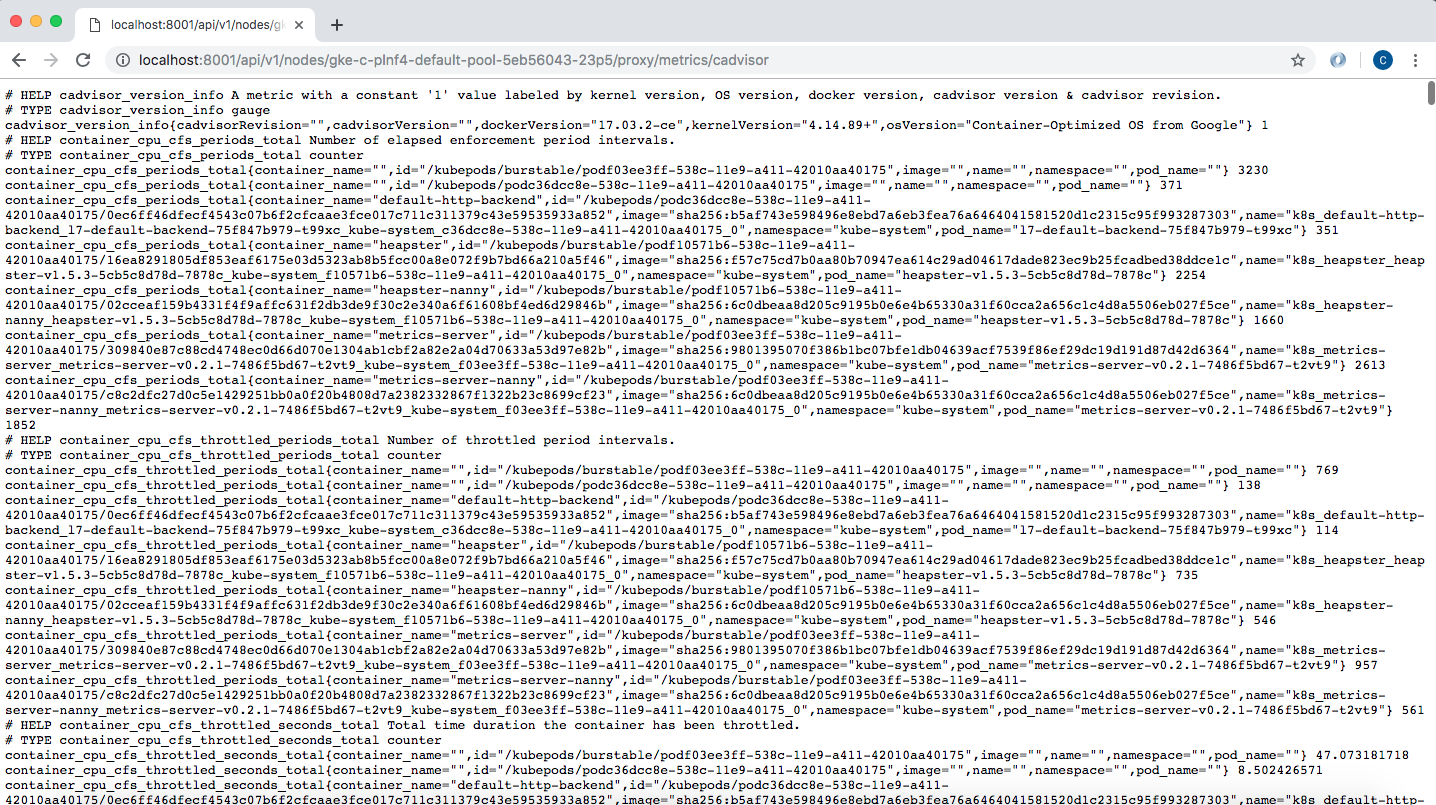 Fig. 9: cAdvisor metrics endpoint