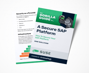 A Secure SAP Platform Gorilla Guide cover