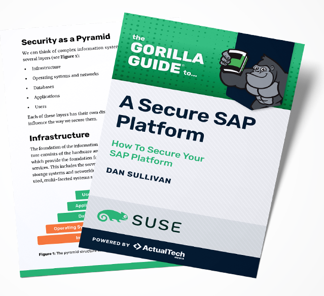 "A Secure SAP Platform Gorilla Guide" cover