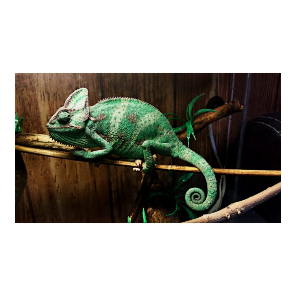 OpenSUSE Tumbleweed: Stay up to date without the headache