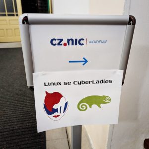 Linux with Cyberladies poster