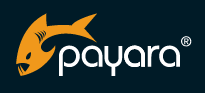 Payara Services Ltd
